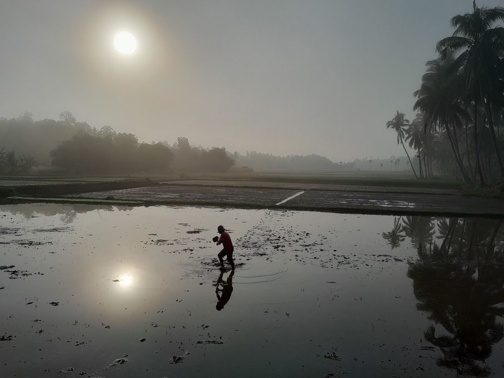 Work Alone In The Morning