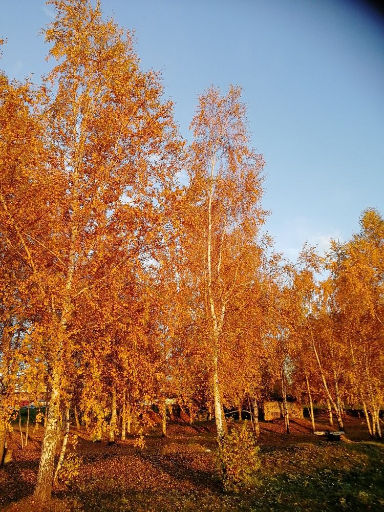 Photograph by Наталья Круглова