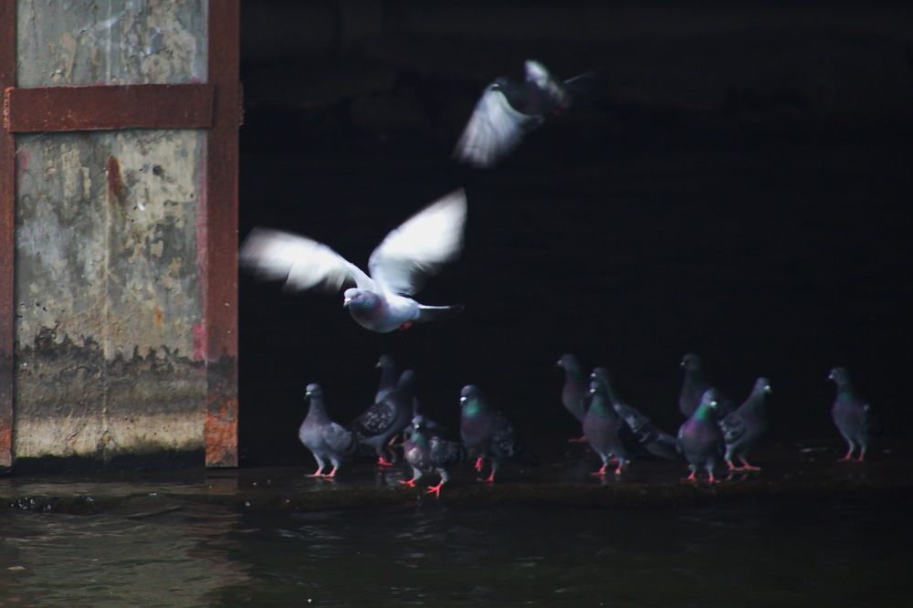 Photograph by Марина