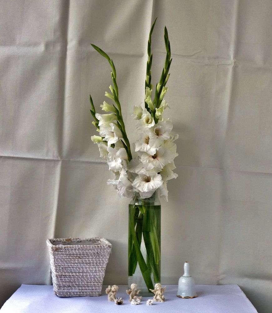 Photograph by backareva irina