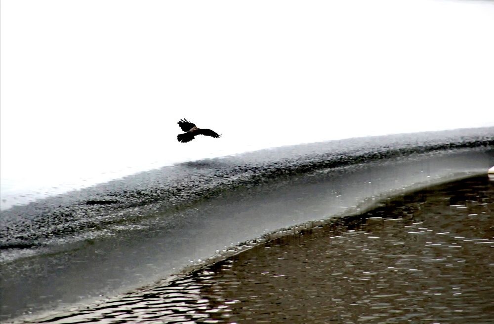 Photograph by Марина