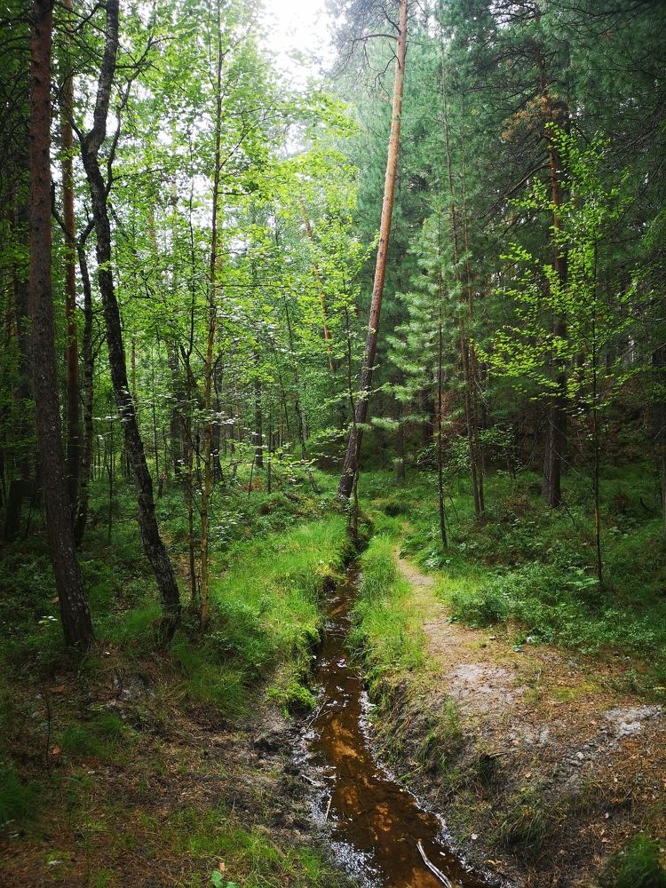 Photograph by Валентина