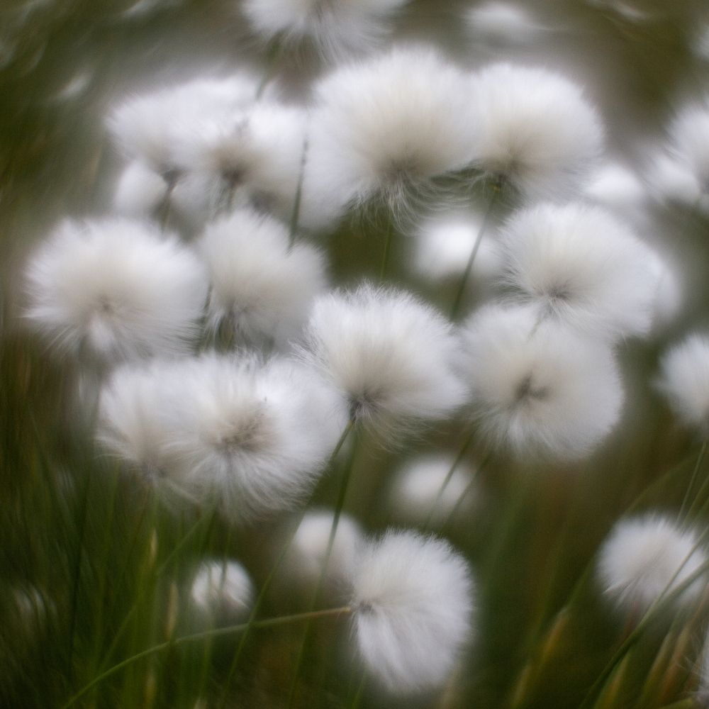 Photograph by Vera Komarova