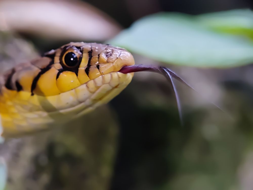 Photograph by Subhadeep Tunga