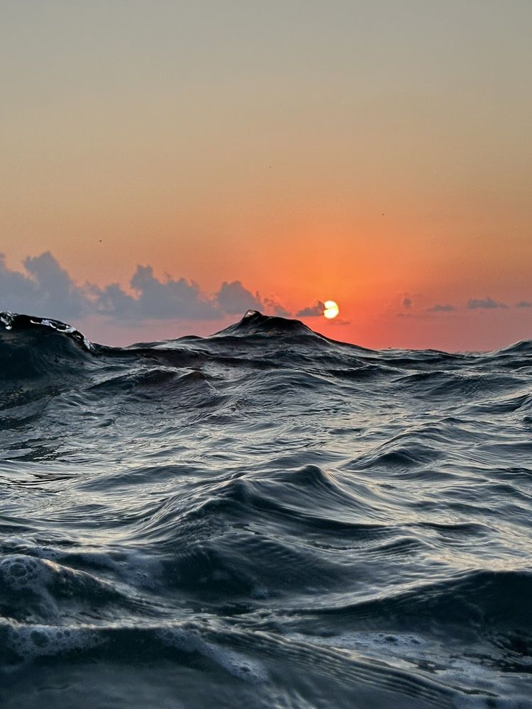 Photograph by Милена