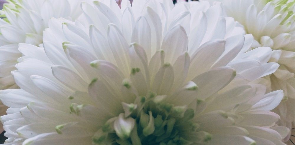 Photograph by Лариса Неудачина