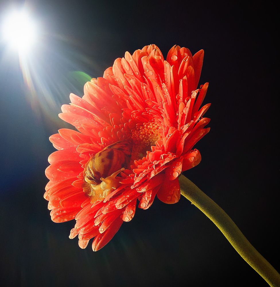 Photograph by Людмила ЧЕРНИКОВА