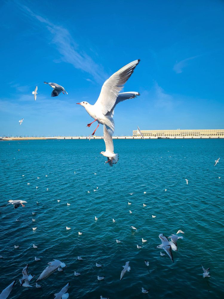 Photograph by Mohammad Saad