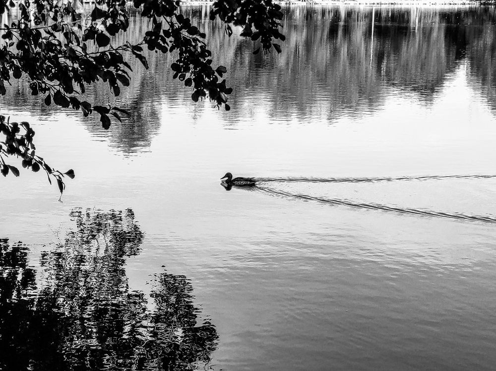 Photograph by Дарья Галиуллина