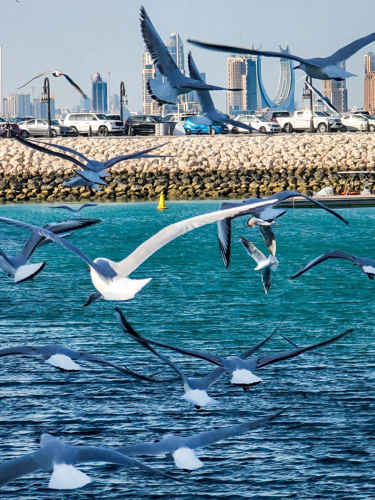 Photograph by Mohammad Saad