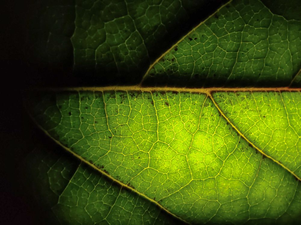 Photograph by Дарья Галиуллина