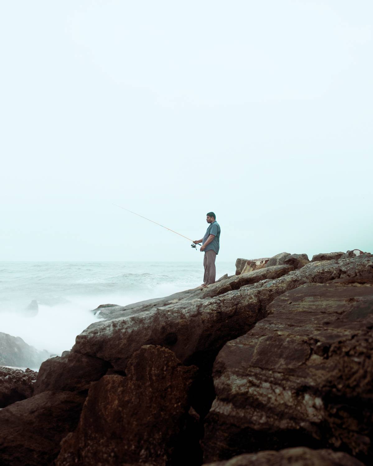 Photo #9503544
