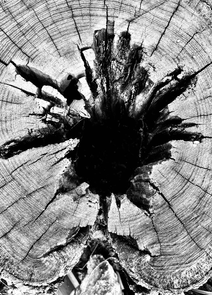 Photograph by Tatiana Teit Ash