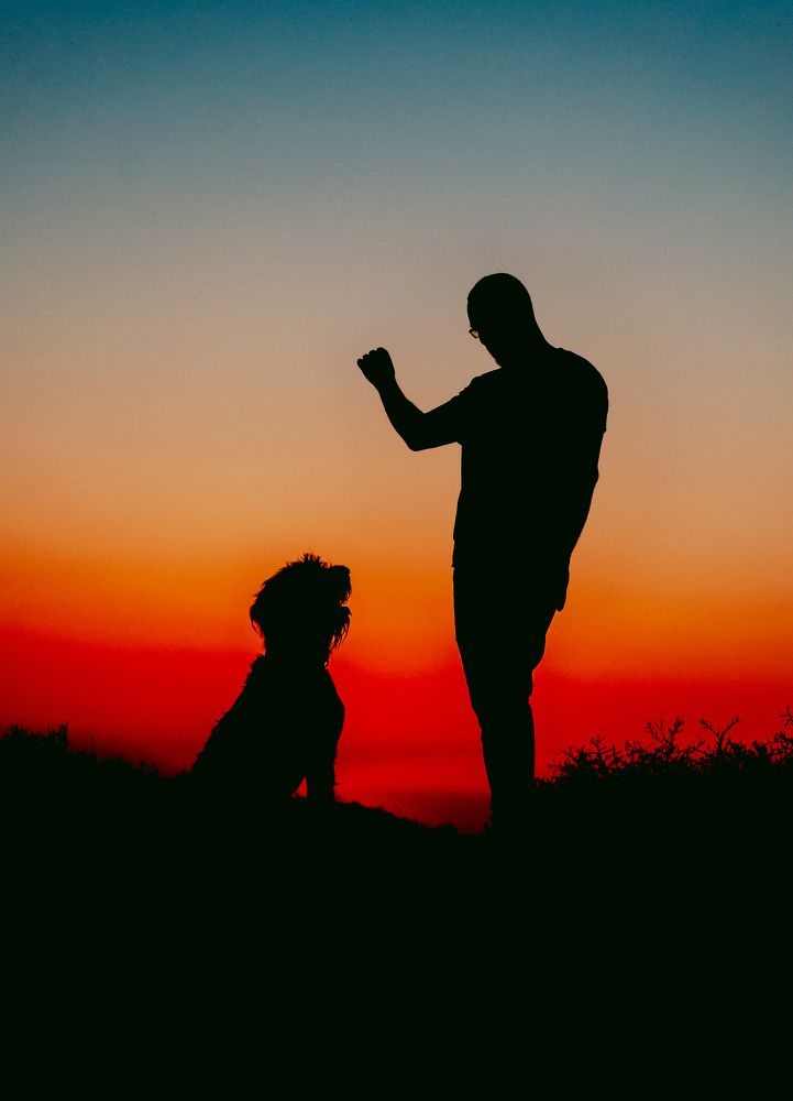 Photograph by Ольга Глущенко