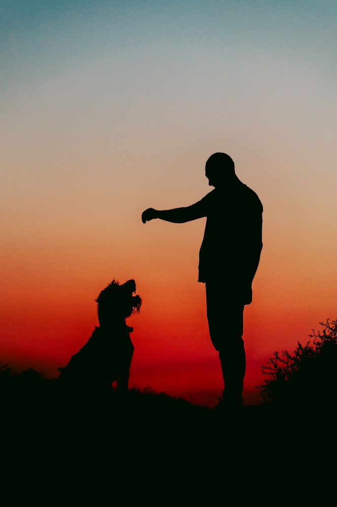 Photograph by Ольга Глущенко