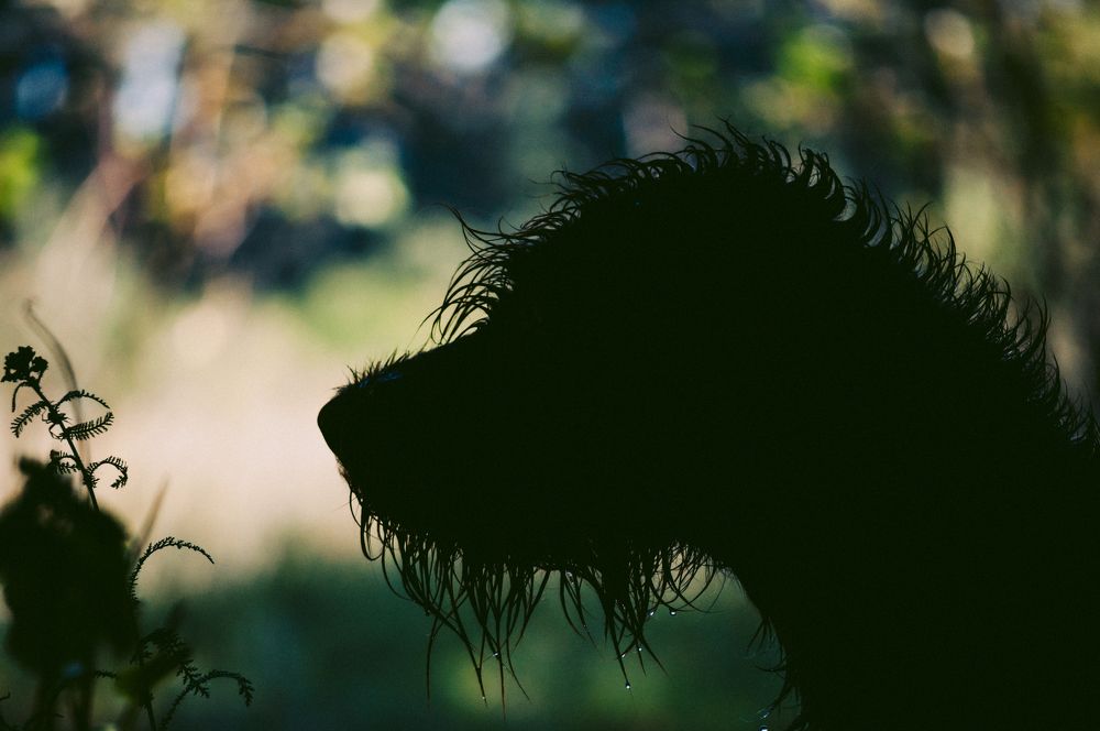 Photograph by Ольга Глущенко