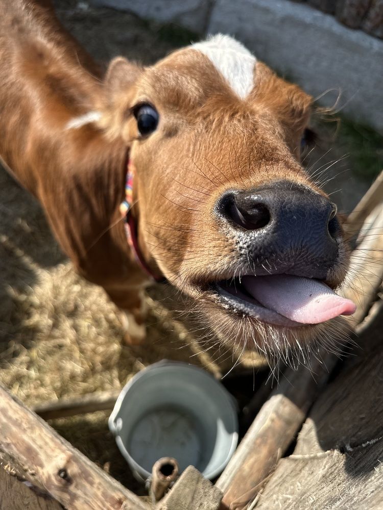 Photograph by Евгения Казакова