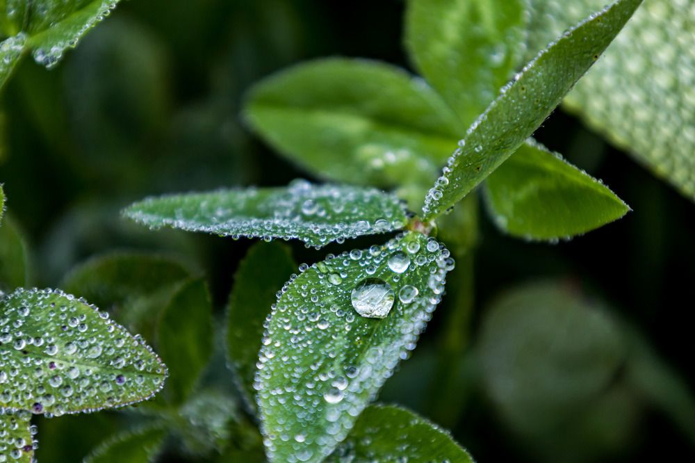 Photograph by Сергей Улыбышев