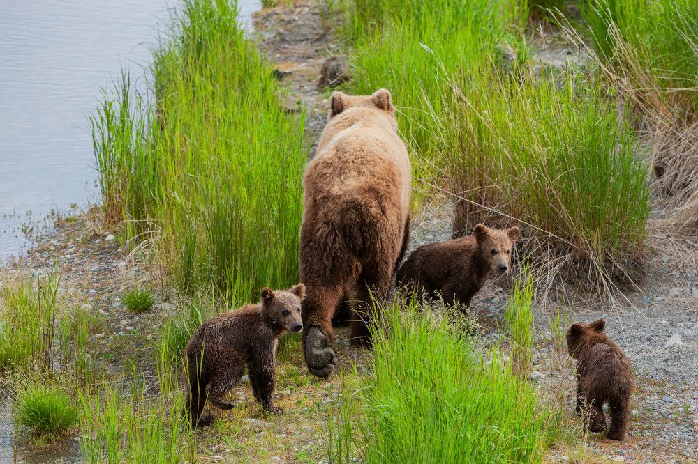 Photograph by Марина Маликова