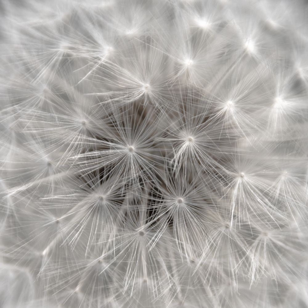 Photograph by Татьяна Романова