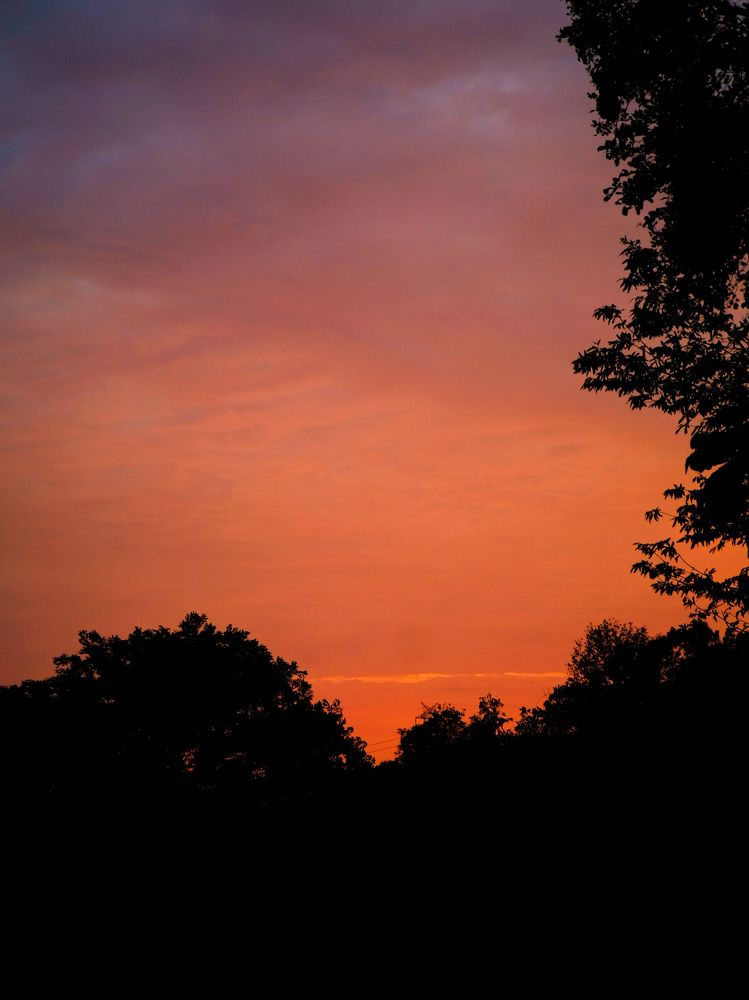 Photograph by Muhammed Junaid A P