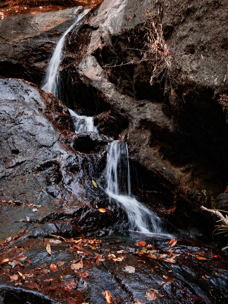 Photograph by Muhammed Junaid A P