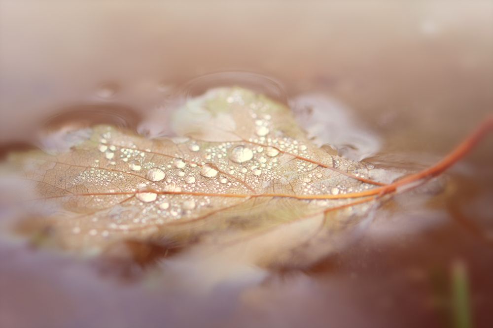 Photograph by Виктория Кос