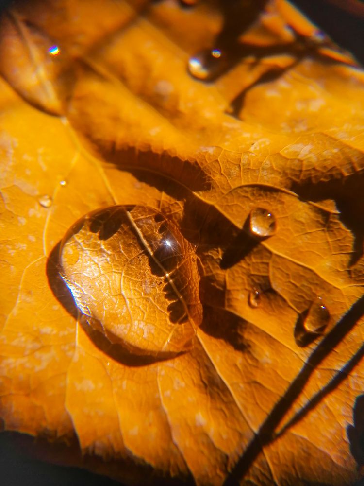 Photograph by Светлана Шелухеева