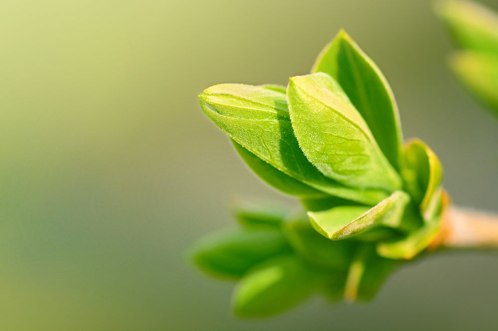 Photograph by Виктория Кос