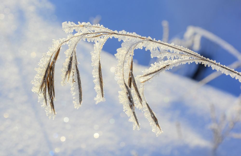Фотография автора Геннадий Коробов