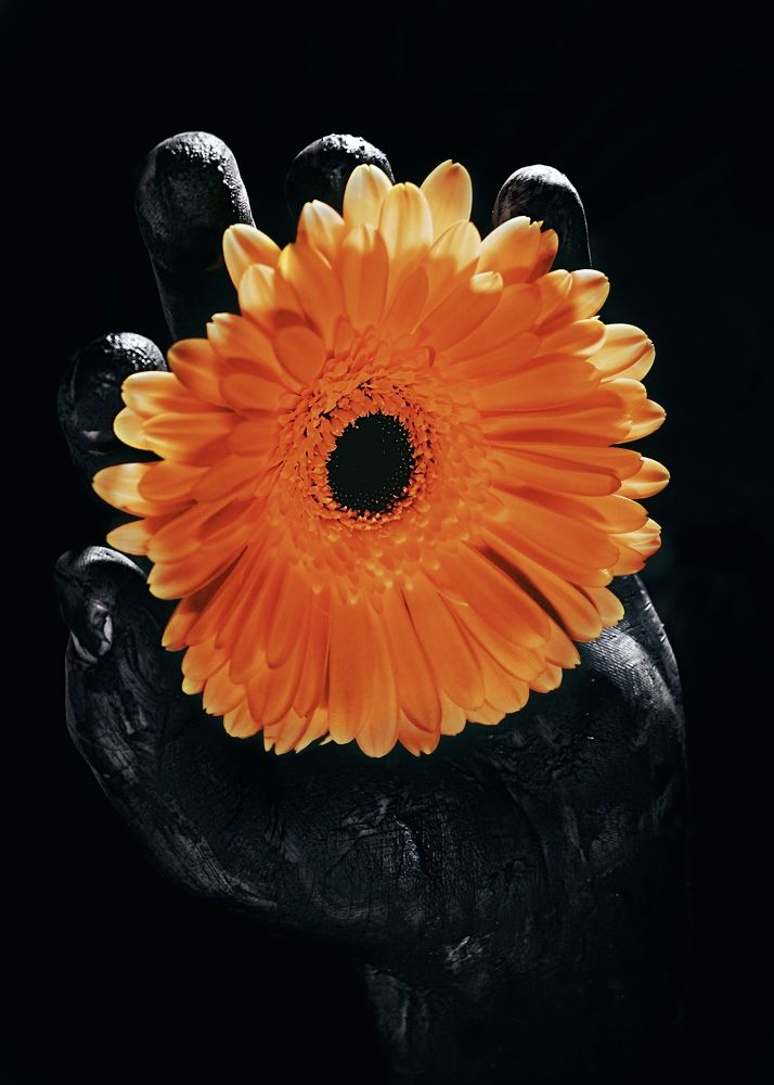 Photograph by Алина Шорина