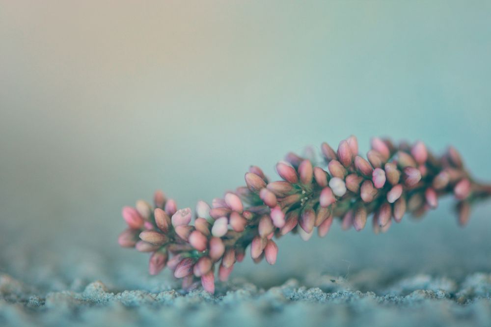 Photograph by Виктория Кос