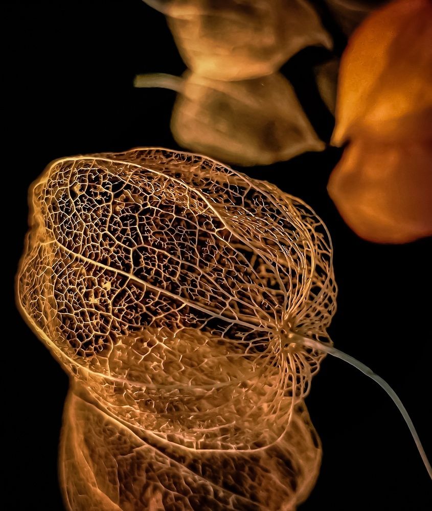 Photograph by Елена Кононенко