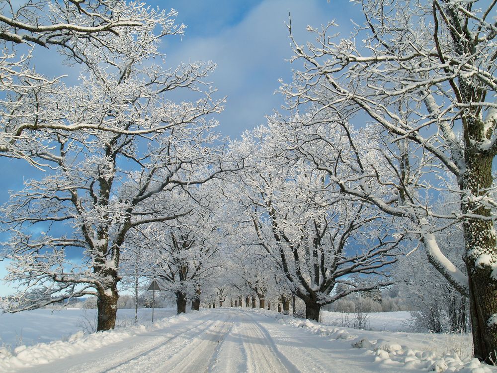 Photograph by Agita Leimane