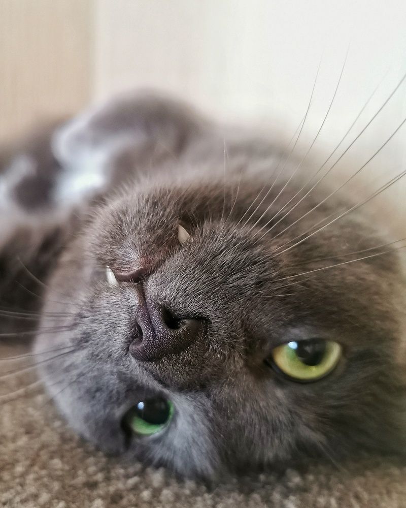 Photograph by Елена Кононенко