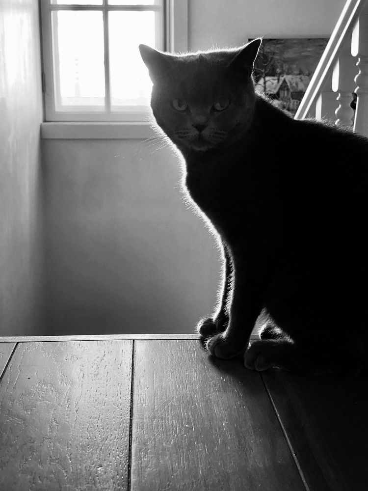 Photograph by Ирина Сорока