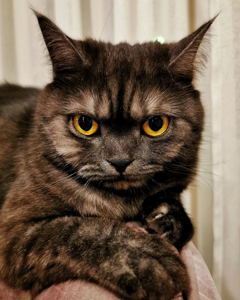 Photograph by Елена Кононенко