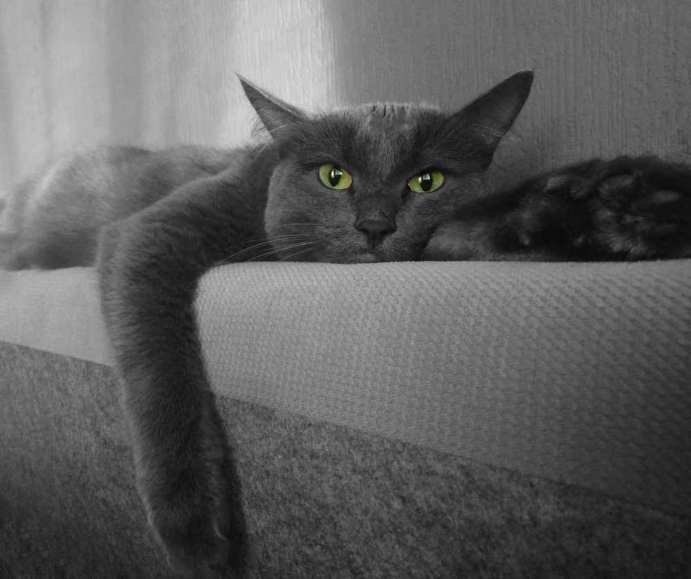 Photograph by Елена Кононенко