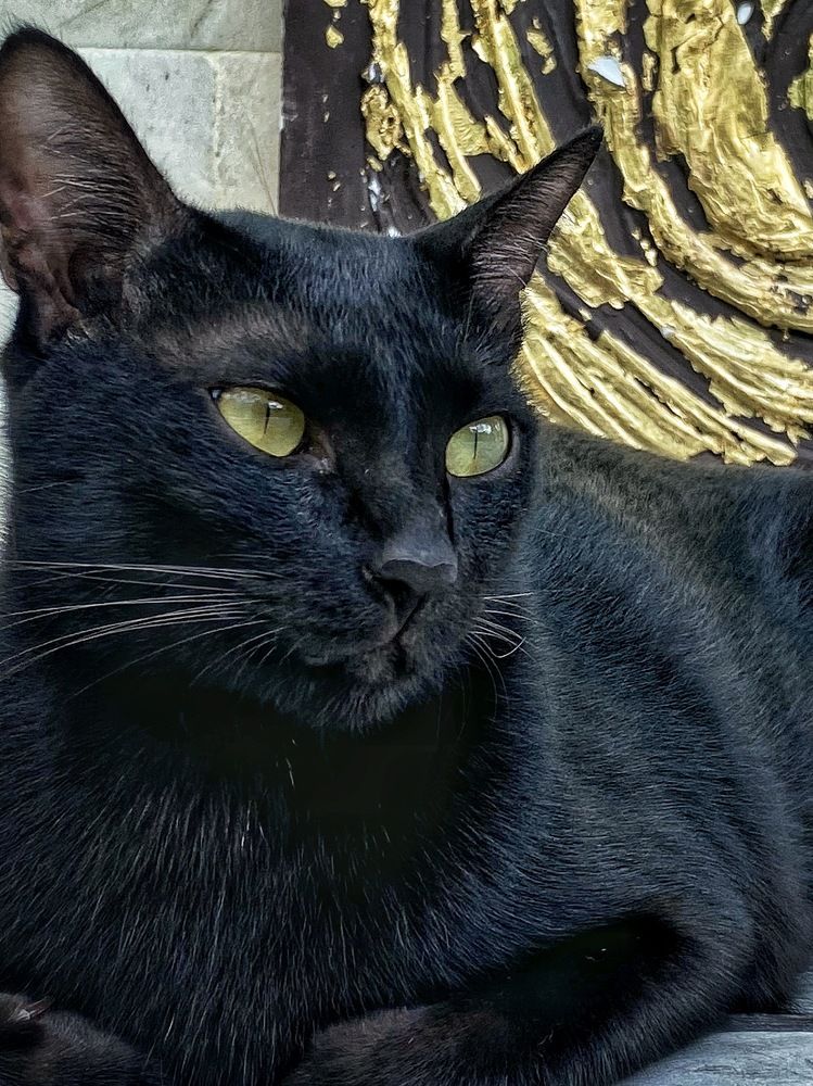 Photograph by Ирина Сорока