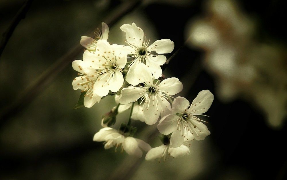 Photograph by Sergey Velichko