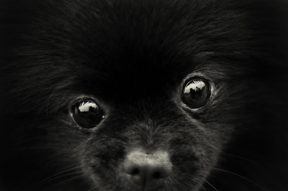 Photograph by Татьяна Степанова