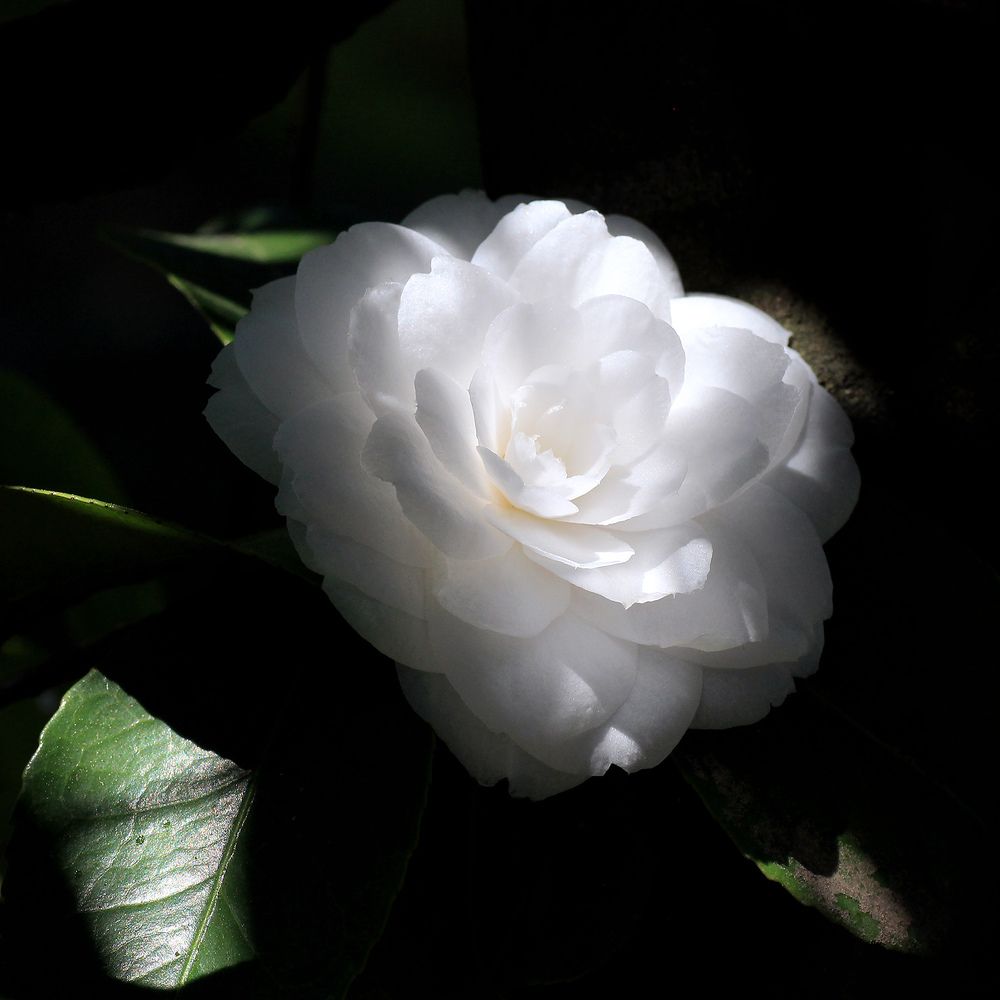 Фотография автора Кулешов Сергей