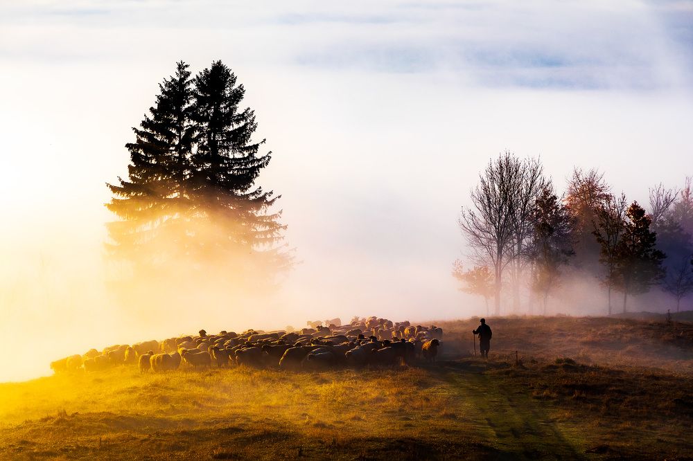 Photograph by Gabriel MARIAN