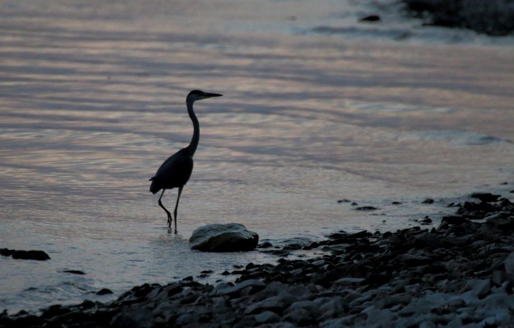 Photograph by Юрий Варюхин