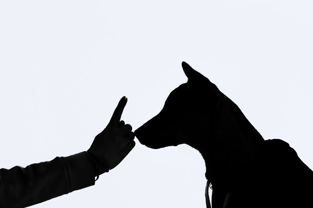 Photograph by Татьяна Степанова