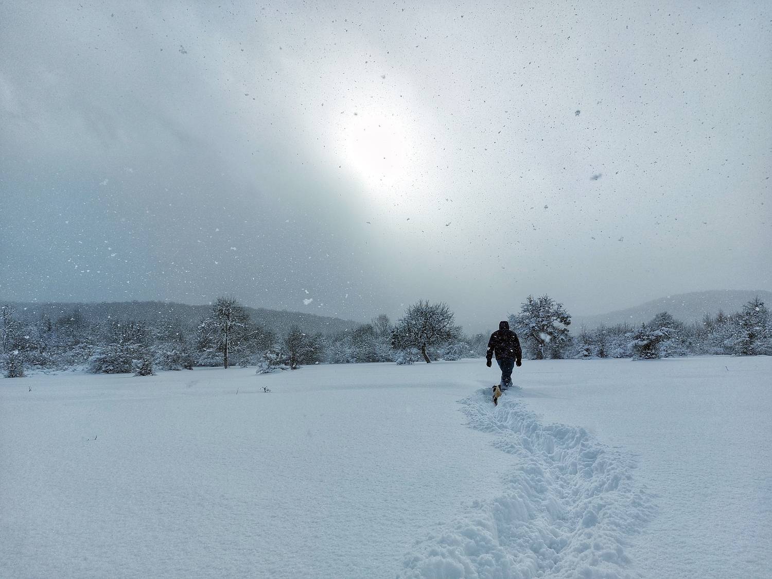 Photo #9504038