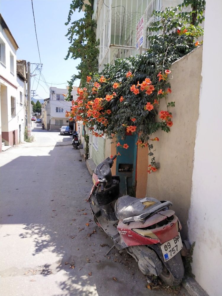 Фотография автора Ola La