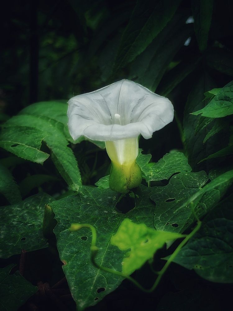 Фотография автора reyhane  khavaninzadeh