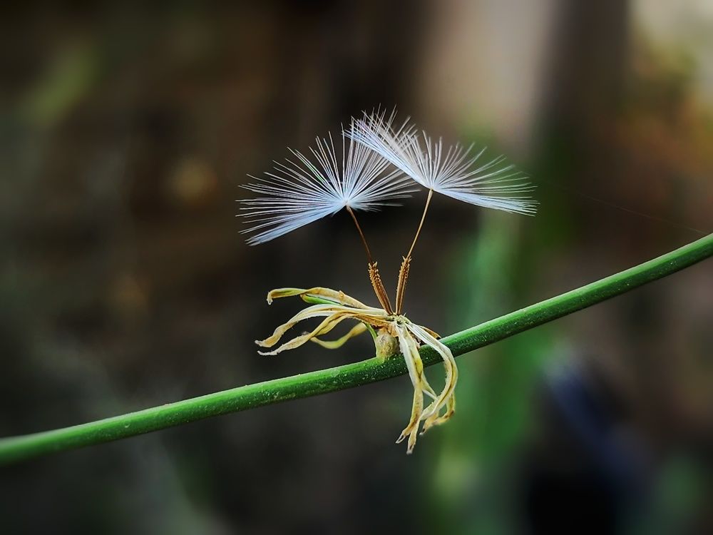 Фотография автора reyhane  khavaninzadeh