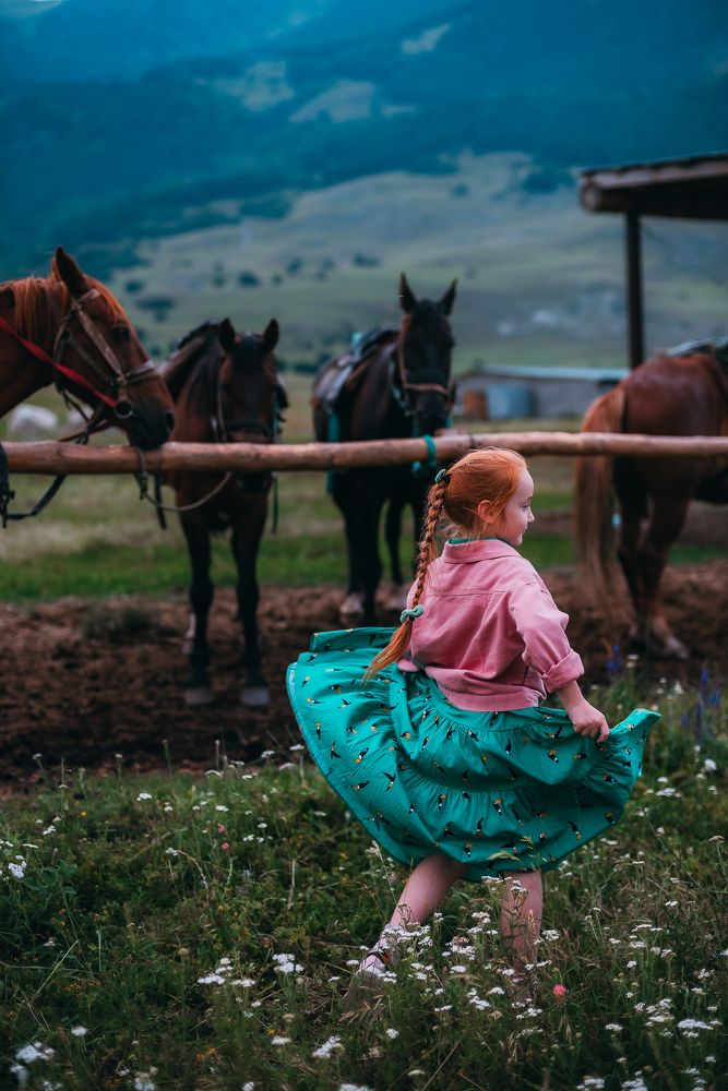 Фотография автора Дарья Шевченко